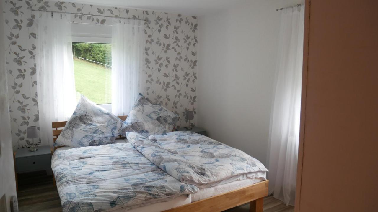 Modernisierte Ferienwohnung Im Schoenen Sauerland Мешеде Екстер'єр фото