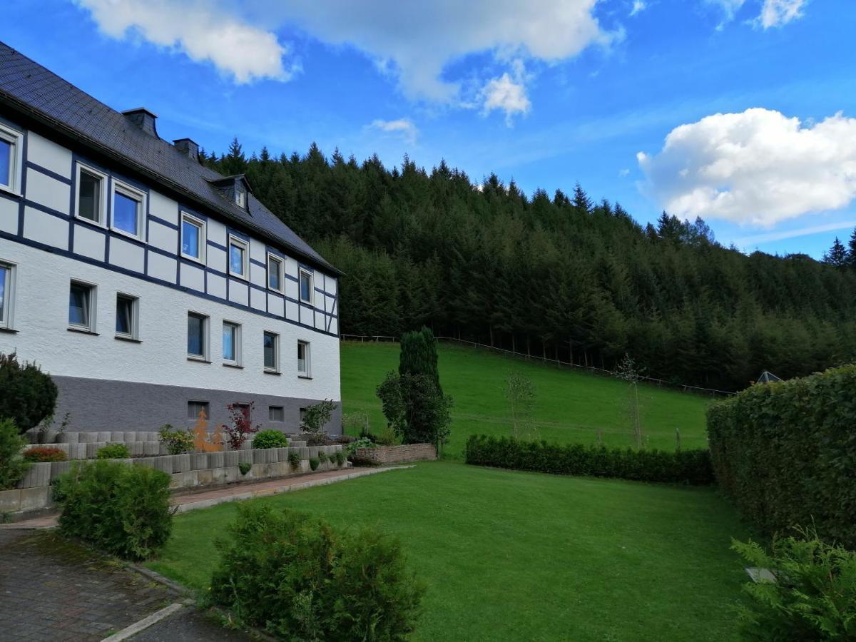Modernisierte Ferienwohnung Im Schoenen Sauerland Мешеде Екстер'єр фото